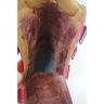 Ботинки детские ортопедические зимние (антивальгусные) с супинатором 